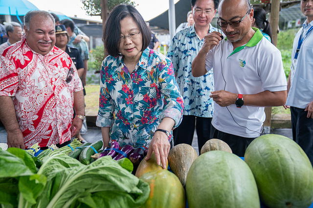 President Tsai inspects the Taiwan Technical Mission's vegetable farm.