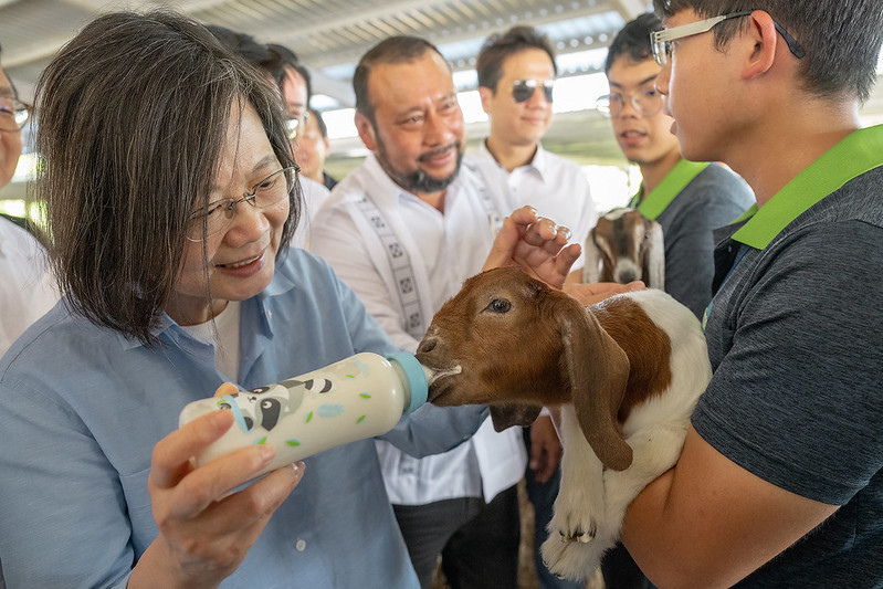 President Tsai Ing-wen visits sheep and goat breeding and production enhancement project under ROC (Taiwan) technical mission in Belize.