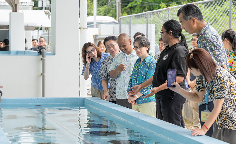 Vice President Hsiao inspects Malakal Island development plan and visits Palau National Aquaculture Center and giant clam conservation center.